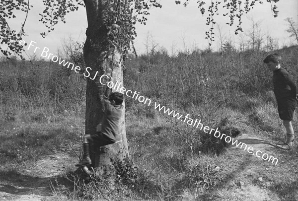 BOYS SWINGING FROM TREE